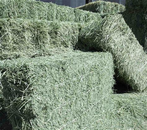 alfalfa hay for sale nebraska